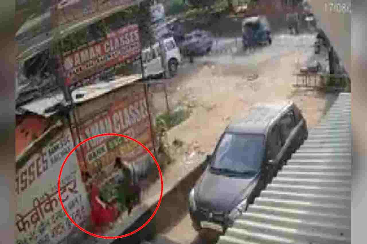 Bihar, school girl, boy takes revenge, boy shoots girl over love affair, bihar girl shot, news24
