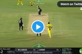 Cricket Comedy in Australia vs New Zealand