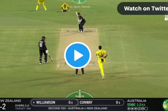 Cricket Comedy in Australia vs New Zealand