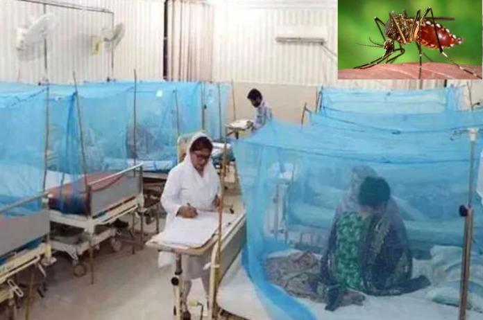 Dengue situation in UP
