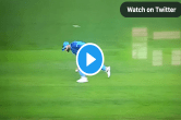 Virat Kohli fielding