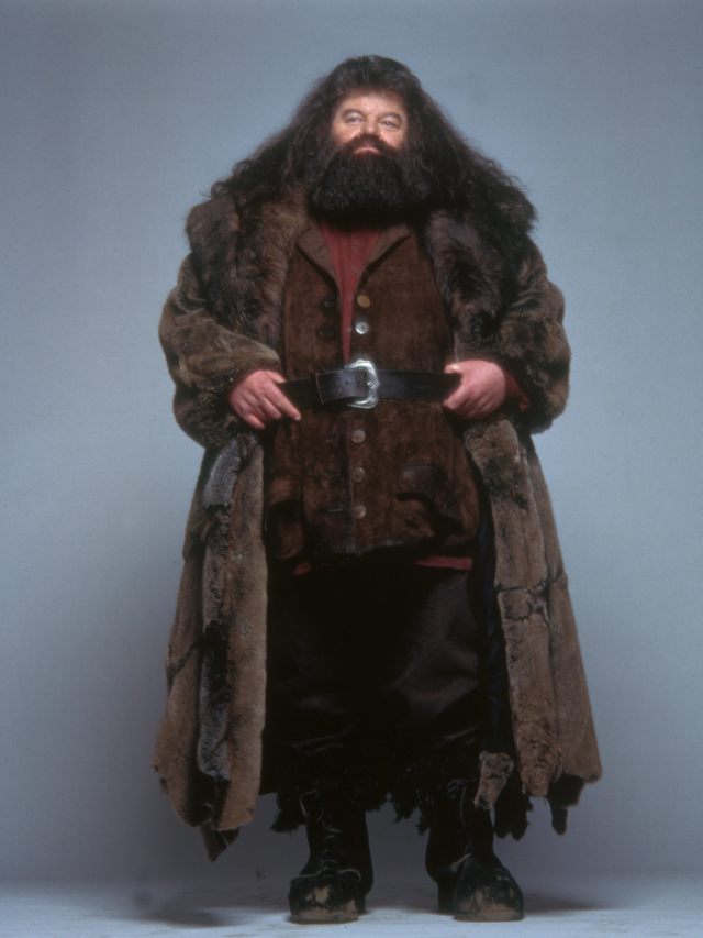 ‘Hagrid’ Robbie Coltrane dies: Harry Potter team members remember the actor