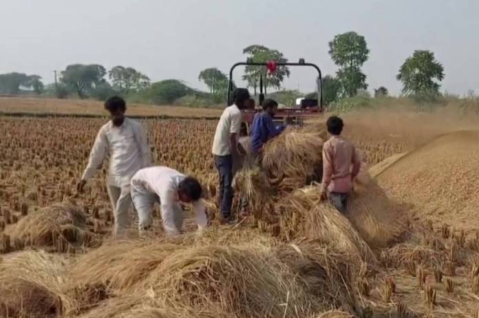 Haryana Farmers Decides To Sell Stubble In Lieu Of Rising Air Pollution