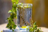 Tulsi Water Benefits