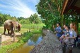 Malaysia Wildlife