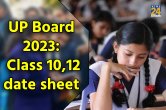 UP Board 2023