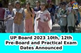 UP Board 2023