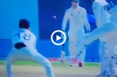 Alex Carey caught by Virat Kohli