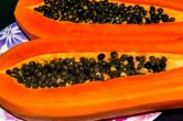 Papaya Seeds For Diabetics