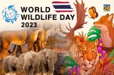 World Wildlife Day 2023