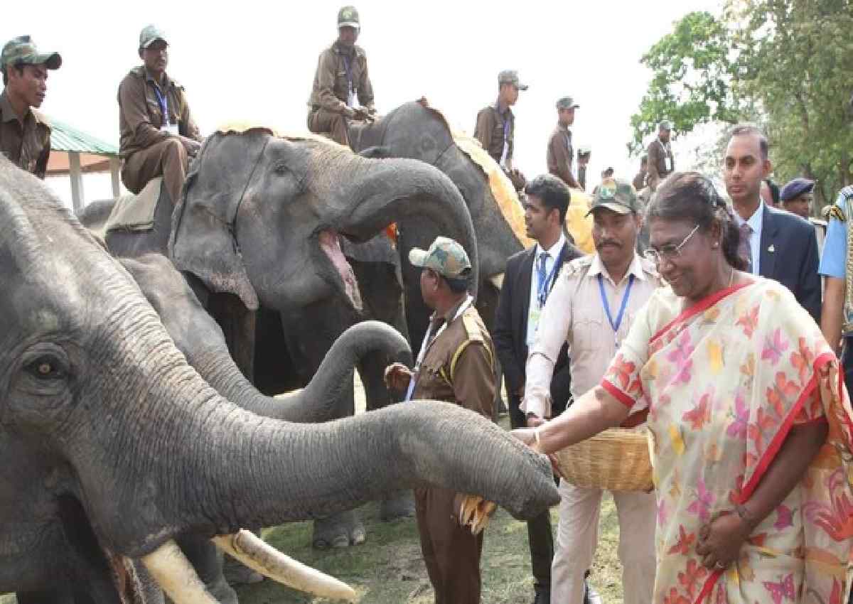 Draupadi Murmu inaugurate Gaj utsav