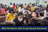 IBPS PO Mains 2022