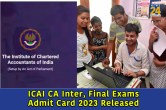 ICAI CA 2023