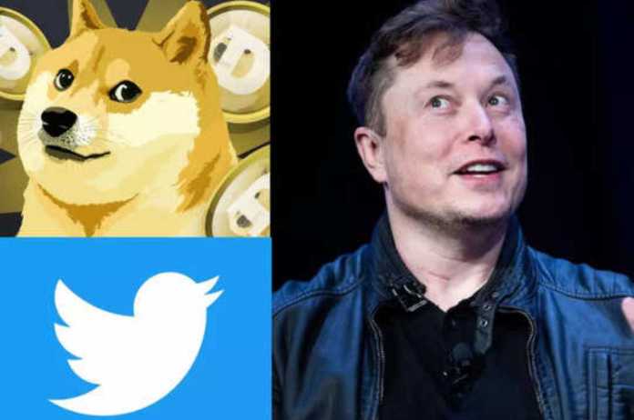 Elon Musk replaces Twitter's iconic logo with THIS one!