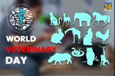 World Veterinary Day