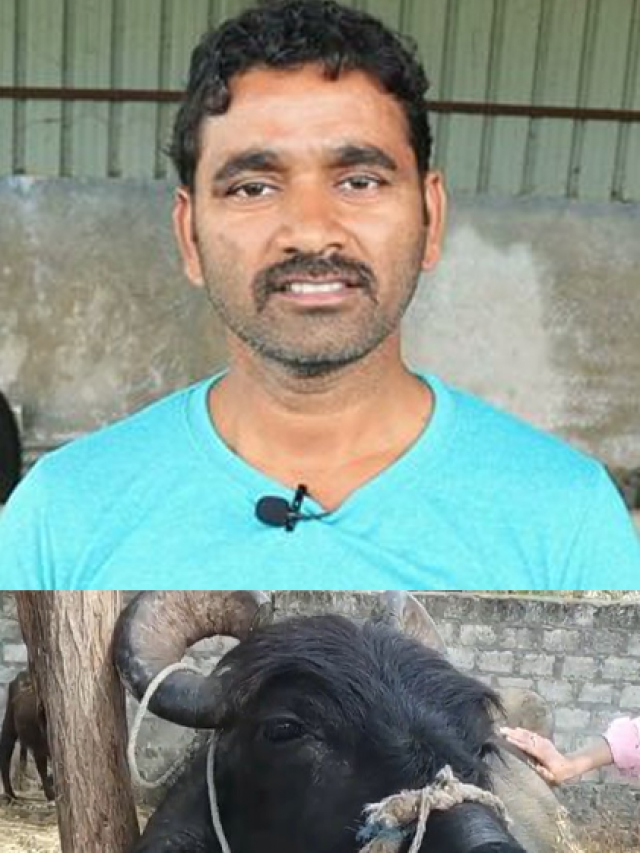 World Veterinary Day 2023 Top 8 Veterinary youtubers in India News24 English