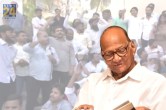 Sharad Pawar