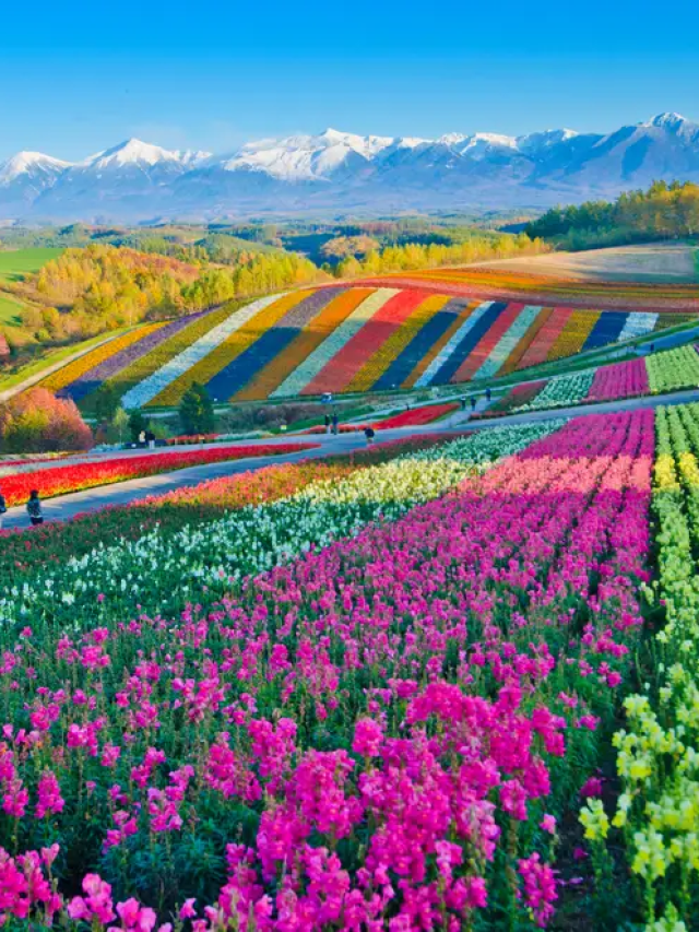 World’s Most Colourful Places One Must Visit