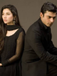 Novel-Based Pakistani Dramas; Check