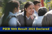 PSEB 10th Result 2023