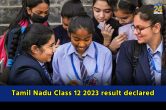 Tamil Nadu Class 12 result 2023