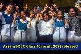 Assam HSLC Class 10 result 2023