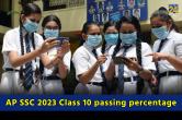 AP SSC 2023 Class 10 result