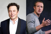 Musk vs Zuckerberg