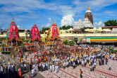 Jagannath Puri Rath Yatra