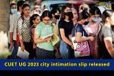 CUET UG 2023 city intimation slip