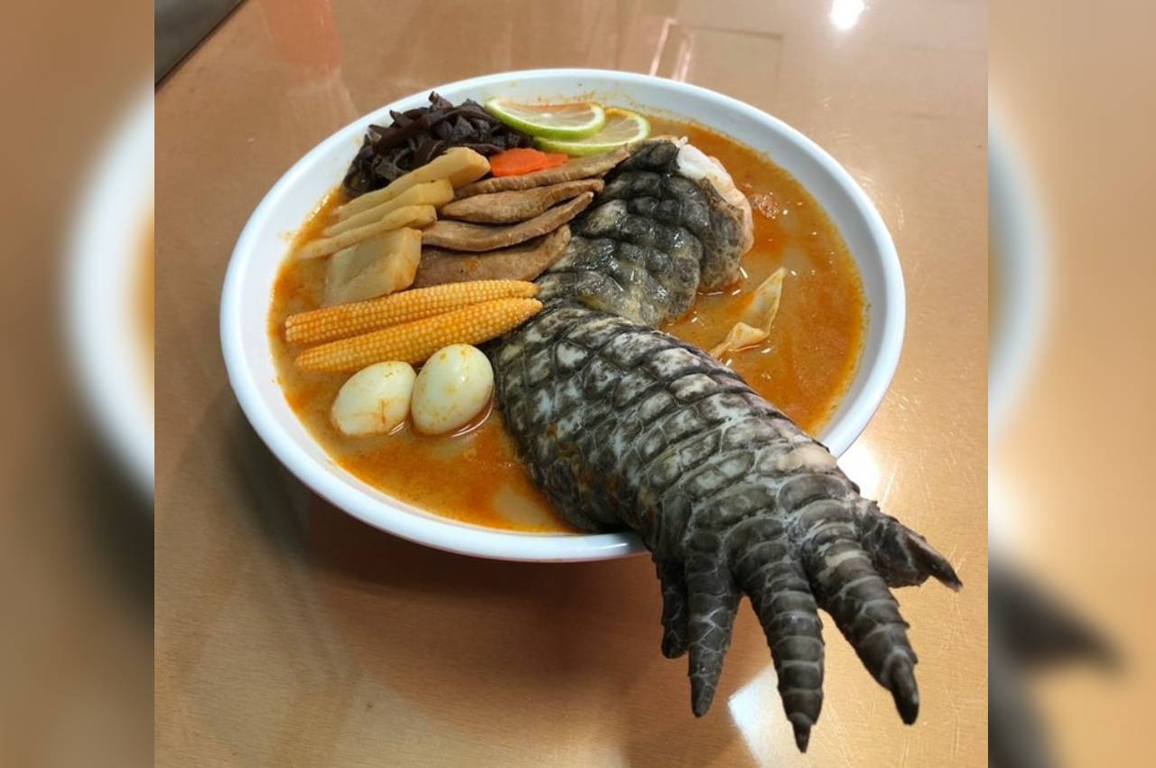 Crocodile Ramen