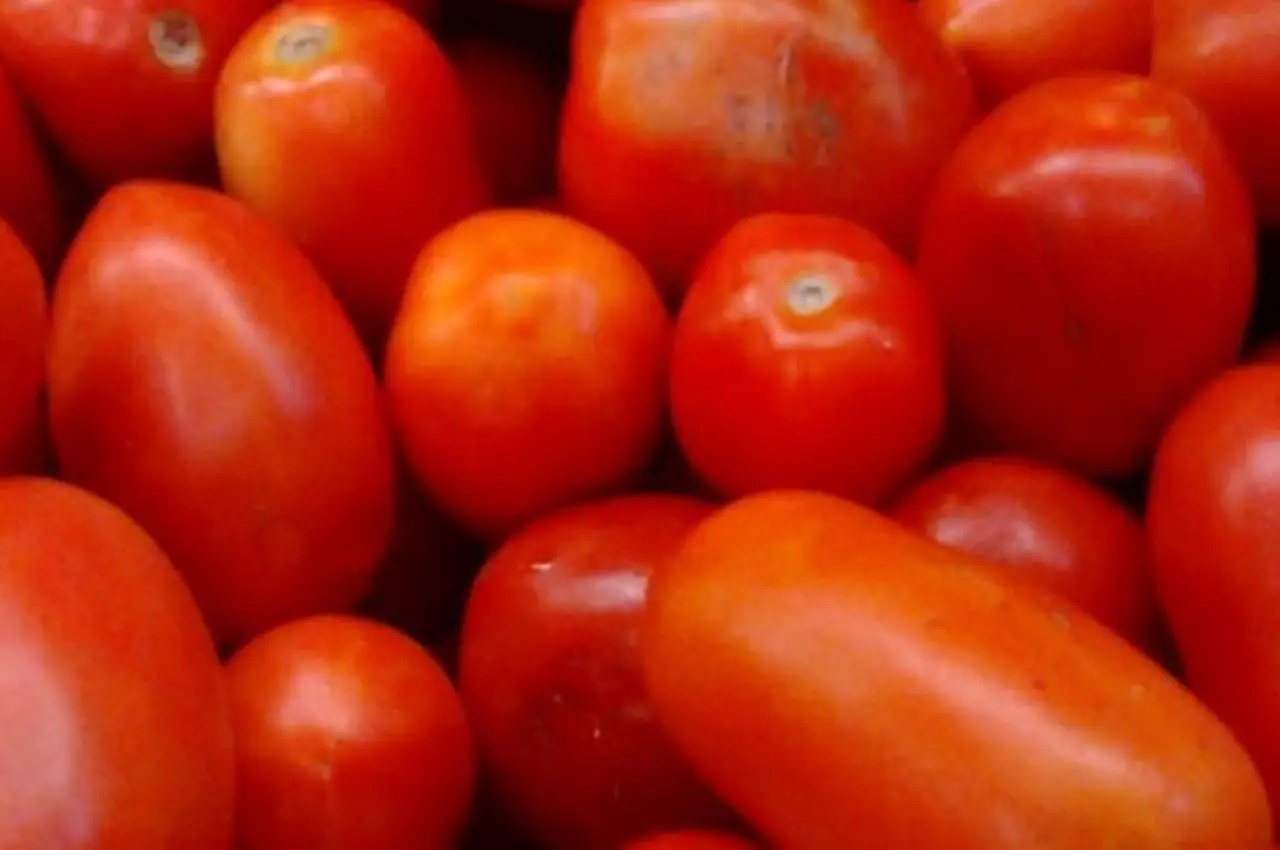 Tomato Prices to Cool Down in the Near Future, says Centre