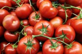 Truck carrying Tomatoes gone missing