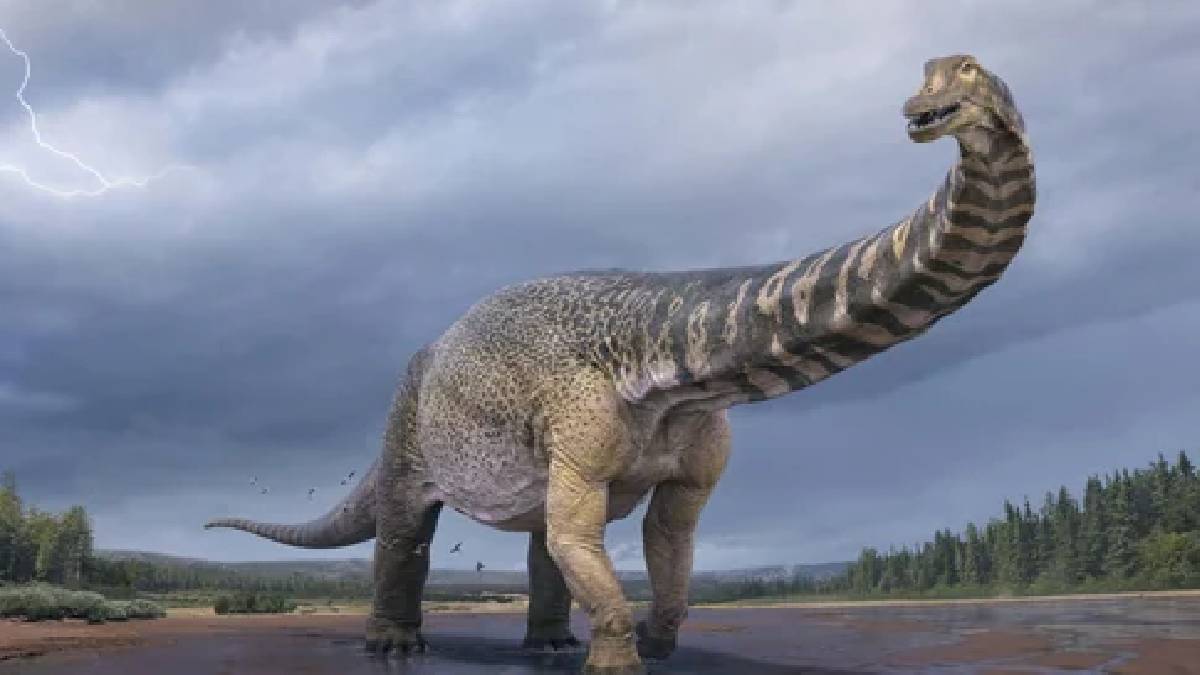Vegetarian Dinosaur fossil found in Rajasthan