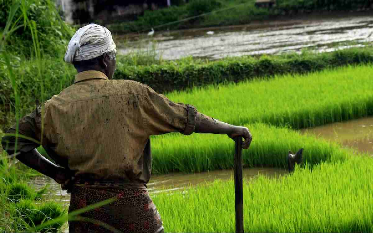 Greater Noida Farmers