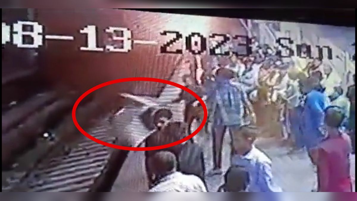 Screengrab of CCTV footage showing moment when the man fell on the tracks and gets crushed by the train. (Photo Credit: X/@Sports_Kuldeep )