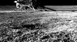 Pragyan Rover Clicks Pic Of Chandrayaan-3’s Vikram Lander On Moon