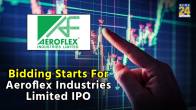 Aeroflex Industries IPO details