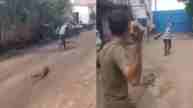 Monkey Being Dragged Viral Video