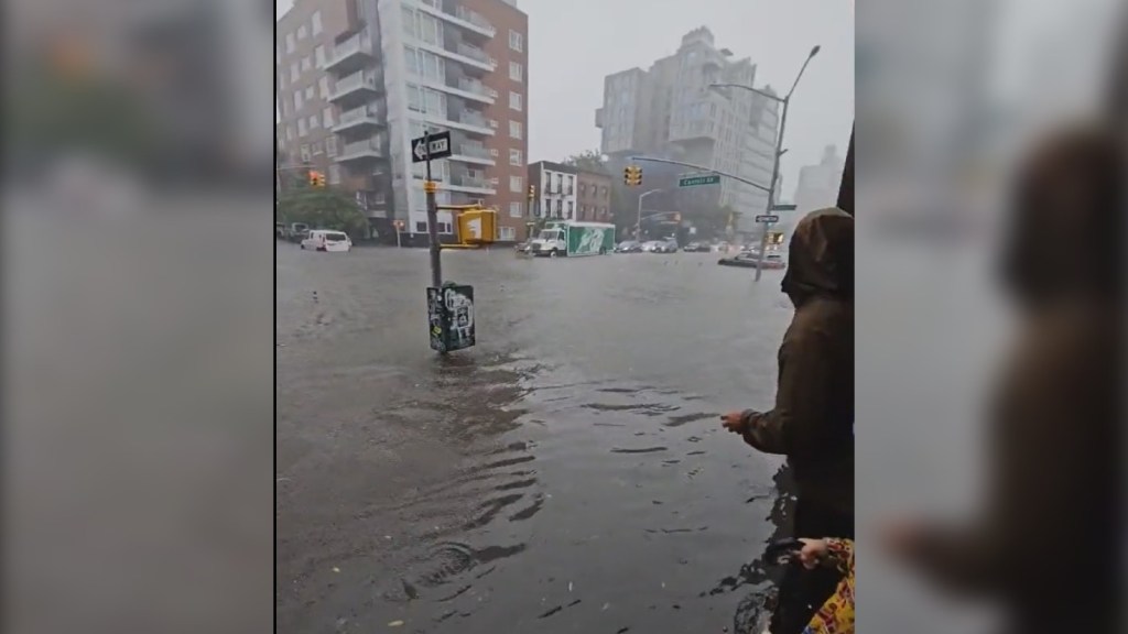 Www New York City Xxx Video - Why Has New York Declared A State Of Emergency?