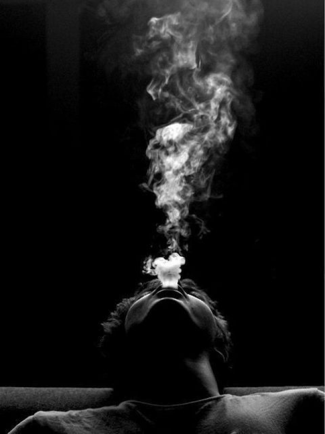 Exploring the Diverse World of MintFlavored Cigarettes Here Are 7