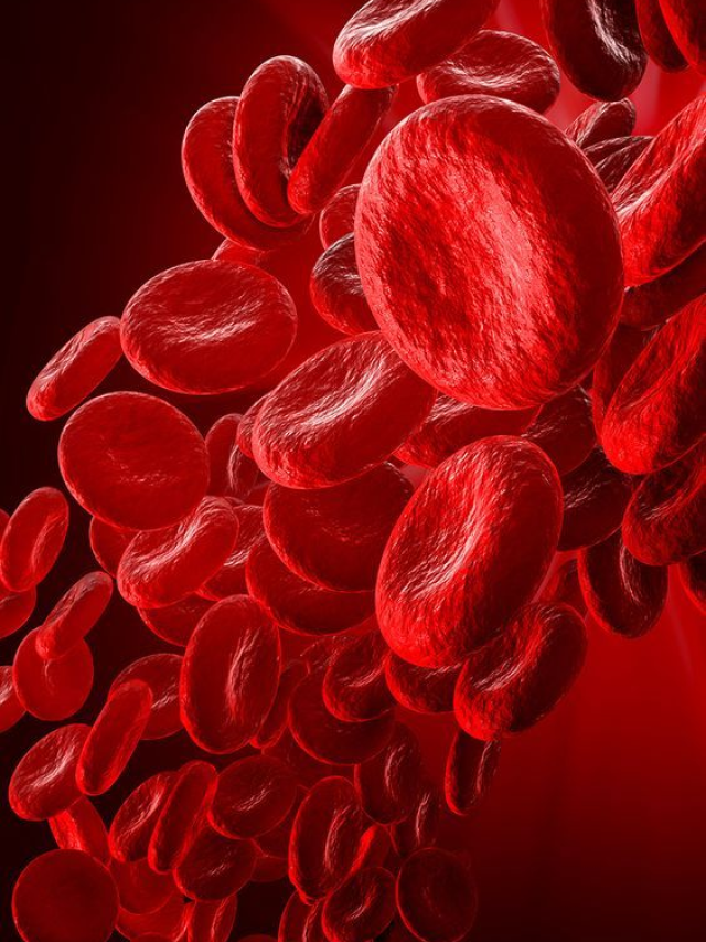 elevate-your-red-blood-cell-count-with-these-essential-food-items-news24