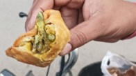 lizard in samosa