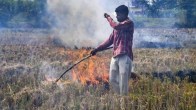 SC warns Punjab Govt For Stubble Warning