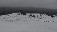 Snowfall In Kashmir