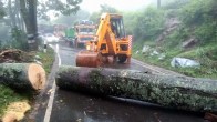 Tamil Nadu Rains