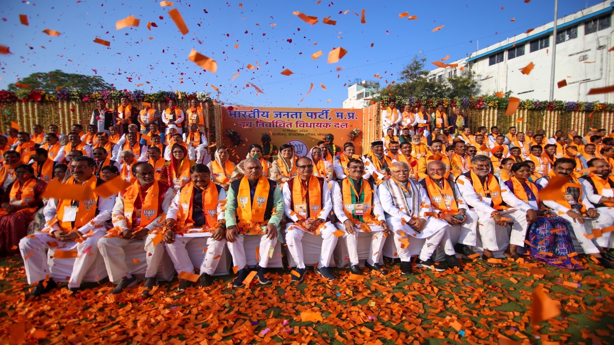 mohan yadav cabinet