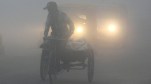 Fog In Uttar Pradesh