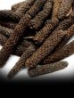 Long Pepper