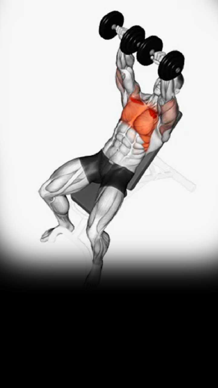 7 Best Exercises for Sculpting a Powerful and Well-Defined Upper Chest -  News24